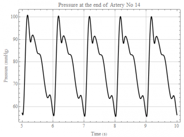 Modeling of the pressure in the aortic arch