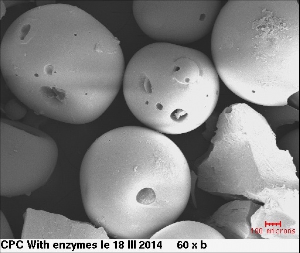 Biocatalyst made of silica beads coated with laccase for continuous micropollutants treatment