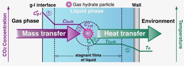 Different phenomena involved during the formation of CO2 hydrates in a stirred tank