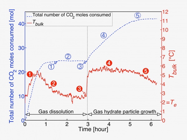 Time evolution of the temperature and the amount of CO2 consumed during the formation of CO2 hydrates in a stirred tank
