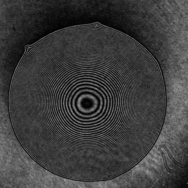 Evaporating sessile drop visualized with interferometry