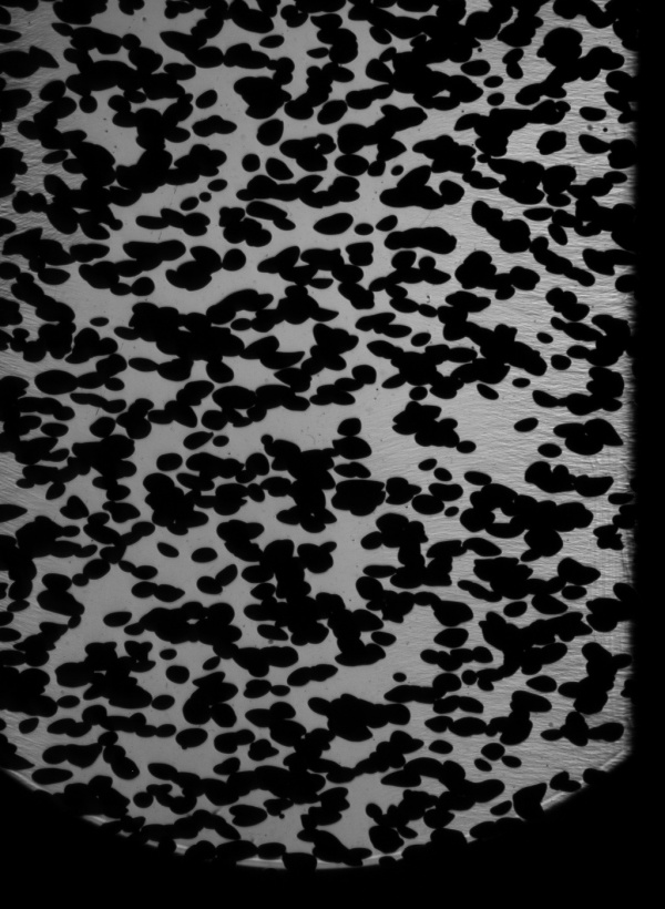 Bubbles in a ozonation channel, observed with a backlight technique
