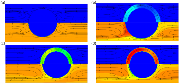 Spherical bubble transported by a liquid in a microchannel with surfactants: velocity streamlines, surfactant concentration fields in the liquid (bottom) and on the bubble surface (top)