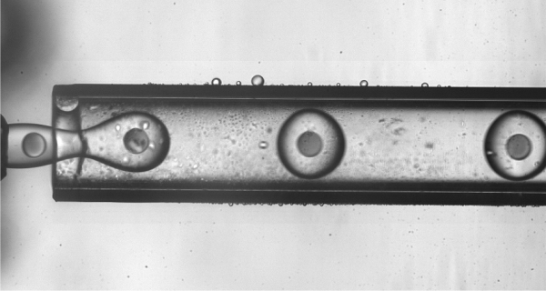 Double emulsion (water in oil in water) in a capillary device with one droplet of water in each droplet of oil