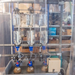 Biomethanation experimental set up