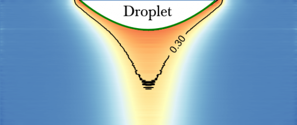 Vapor cloud around an evaporating drop visualized with interferometry